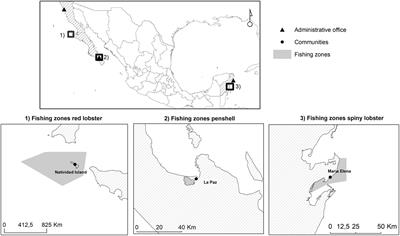 Unveiling Women’s Roles and Inclusion in Mexican Small-Scale Fisheries (SSF)